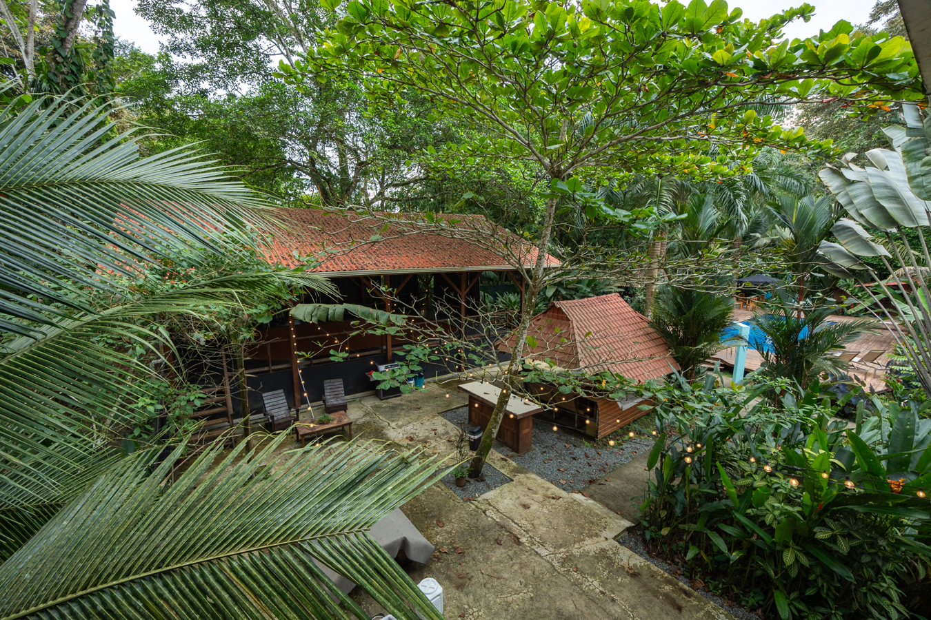Epic B&B with Pool & Skate Bowl — Big Creek, Isla Colón - 38