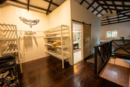 Epic Bed & Breakfast with Pool and One-of-a-Kind Skate Bowl - image 10