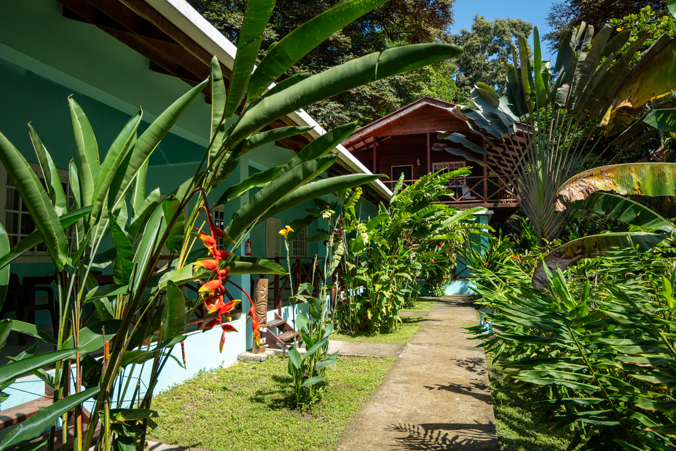 Epic B&B with Pool & Skate Bowl — Big Creek, Isla Colón - 37