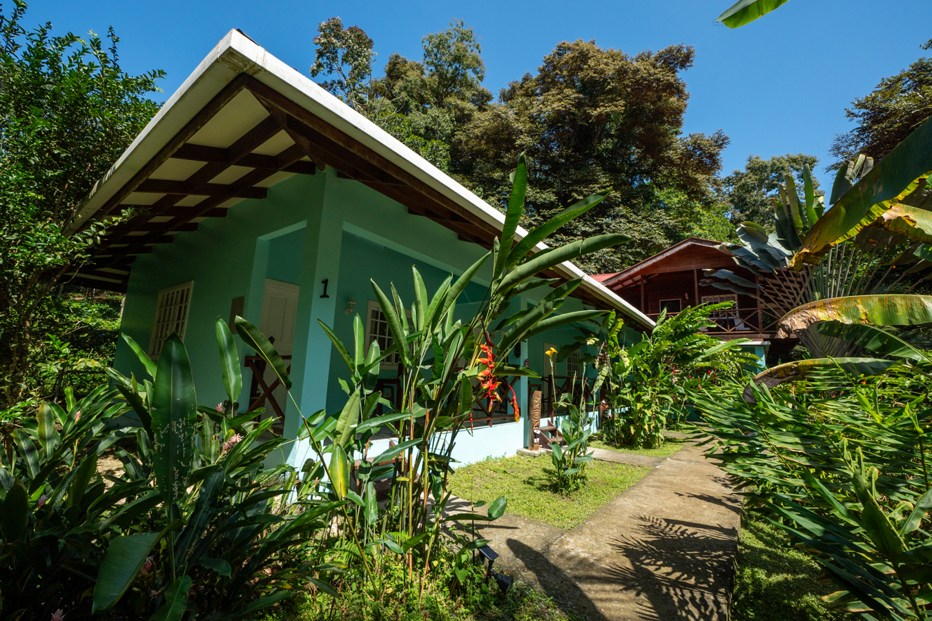 Epic B&B with Pool & Skate Bowl — Big Creek, Isla Colón - 21
