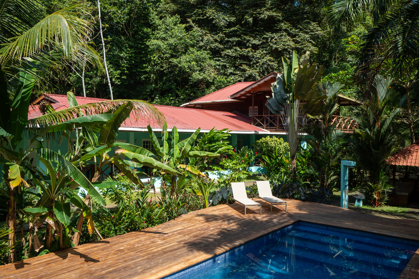 Epic B&B with Pool & Skate Bowl — Big Creek, Isla Colón - 33