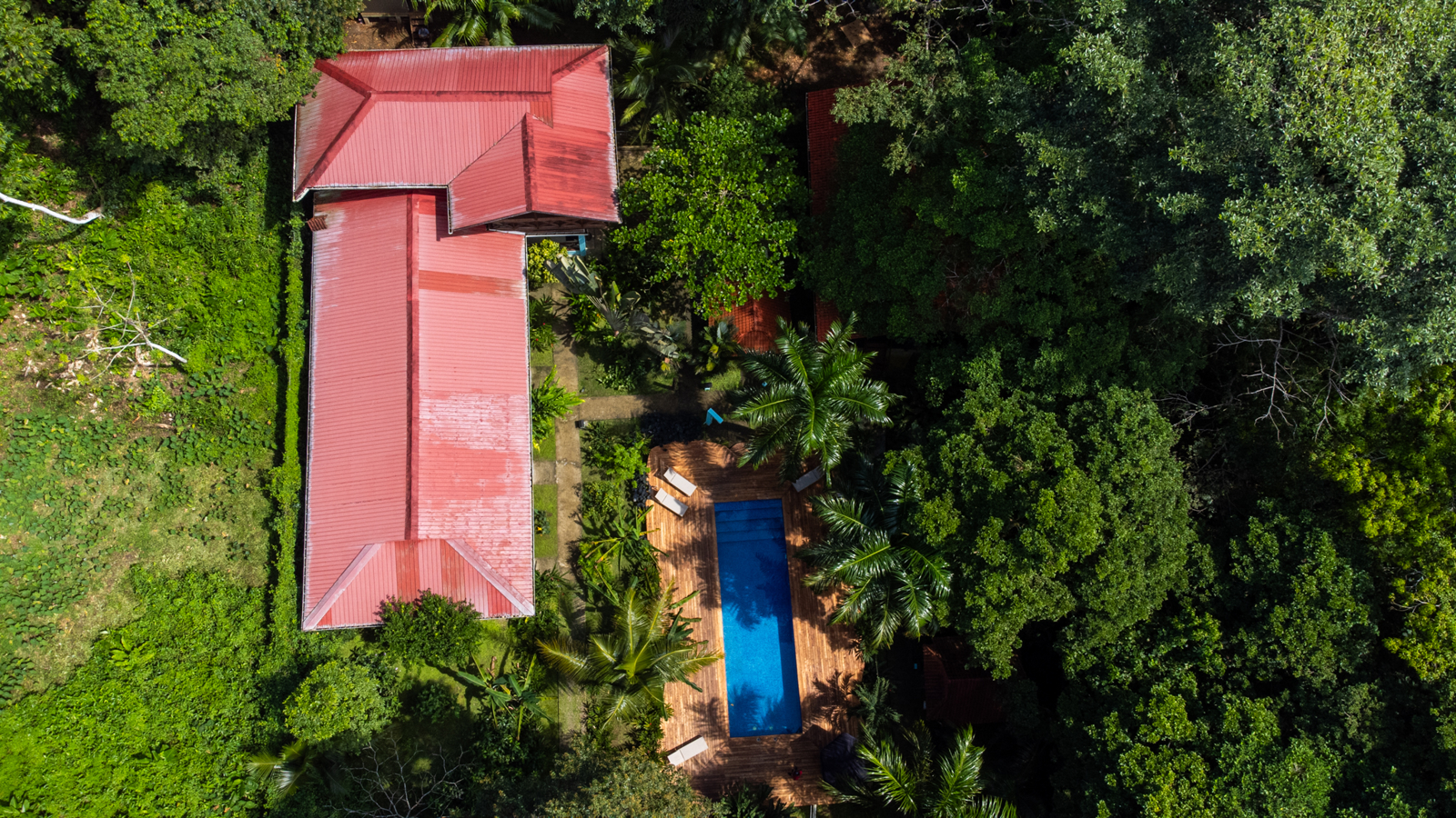 Epic B&B with Pool & Skate Bowl — Big Creek, Isla Colón - 3