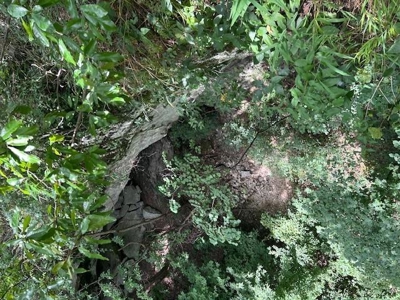 Off Grid Cabins Joining Buffalo National Park For Sale Marion Co - image 47