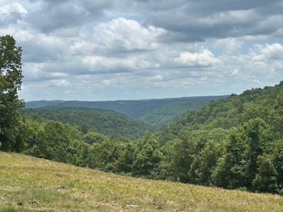 Off Grid Cabins Joining Buffalo National Park For Sale Marion Co - image 45
