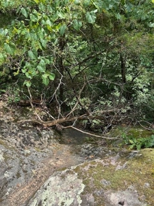 Off Grid Cabins Joining Buffalo National Park For Sale Marion Co - image 46