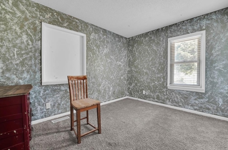 Spacious 4 Bedroom Home For Sale In Helena, Oklahoma - image 17