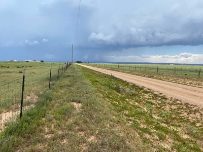 20 Acres Irrigated Land for Sale | Estancia Valley NM - image 5