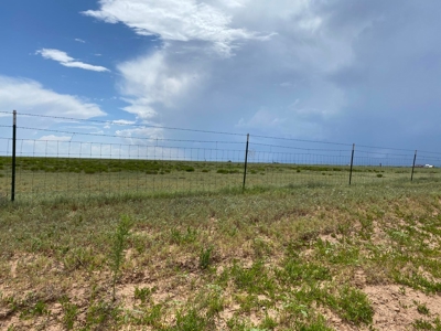 20 Acres Irrigated Land for Sale | Estancia Valley NM - image 6