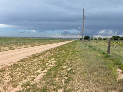 20 Acres Irrigated Land for Sale | Estancia Valley NM - image 7