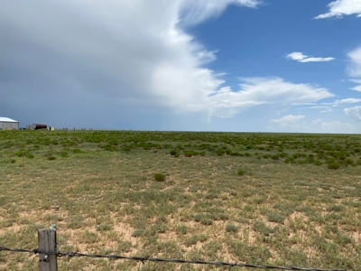 20 Acres Irrigated Land for Sale | Estancia Valley NM - image 3