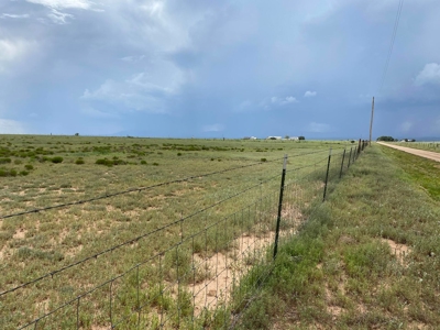 20 Acres Irrigated Land for Sale | Estancia Valley NM - image 4