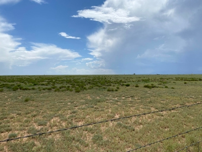 20 Acres Irrigated Land for Sale | Estancia Valley NM - image 1