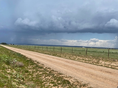 20 Acres Irrigated Land for Sale | Estancia Valley NM - image 8