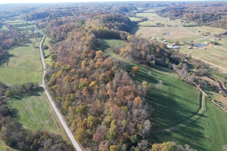 Tennessee Land for Sale  41.13 Acres in Giles County with Fencing - image 21