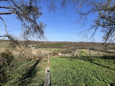 Tennessee Land for Sale  41.13 Acres in Giles County with Fencing - image 9