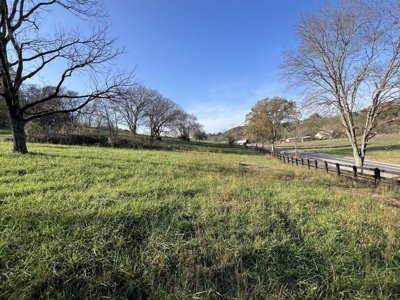 Tennessee Land for Sale  41.13 Acres in Giles County with Fencing - image 37