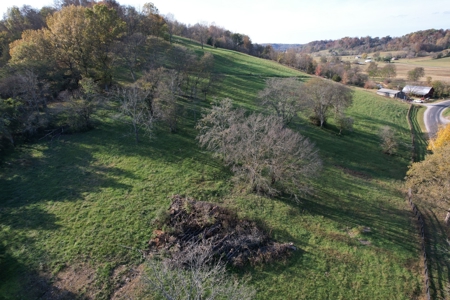 Tennessee Land for Sale  41.13 Acres in Giles County with Fencing - image 27