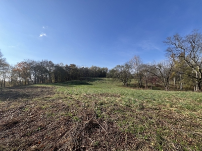 Tennessee Land for Sale  41.13 Acres in Giles County with Fencing - image 15