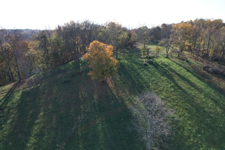 Tennessee Land for Sale  41.13 Acres in Giles County with Fencing - image 33