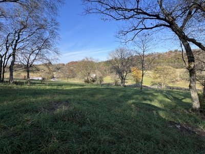 Tennessee Land for Sale  41.13 Acres in Giles County with Fencing - image 3