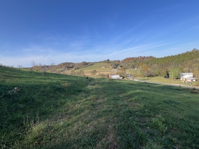 Tennessee Land for Sale  41.13 Acres in Giles County with Fencing - image 34