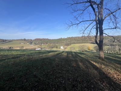 Tennessee Land for Sale  41.13 Acres in Giles County with Fencing - image 6