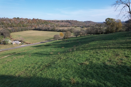Tennessee Land for Sale  41.13 Acres in Giles County with Fencing - image 31