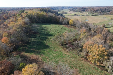 Tennessee Land for Sale  41.13 Acres in Giles County with Fencing - image 22