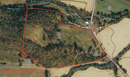 Tennessee Land for Sale  41.13 Acres in Giles County with Fencing - image 18