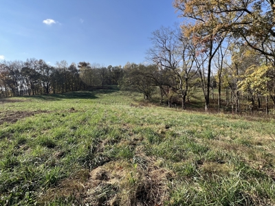 Tennessee Land for Sale  41.13 Acres in Giles County with Fencing - image 10