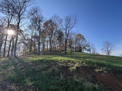 Tennessee Land for Sale  41.13 Acres in Giles County with Fencing - image 35