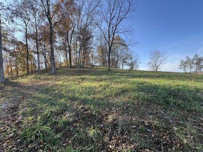 Tennessee Land for Sale  41.13 Acres in Giles County with Fencing - image 4