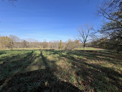 Tennessee Land for Sale  41.13 Acres in Giles County with Fencing - image 12