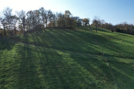 Tennessee Land for Sale  41.13 Acres in Giles County with Fencing - image 26
