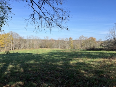 Tennessee Land for Sale  41.13 Acres in Giles County with Fencing - image 13