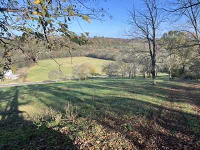 Tennessee Land for Sale  41.13 Acres in Giles County with Fencing - image 8