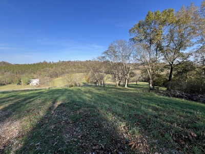 Tennessee Land for Sale  41.13 Acres in Giles County with Fencing - image 5