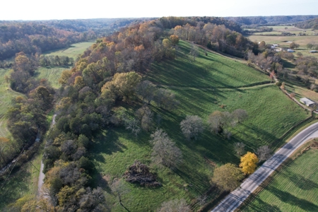 Tennessee Land for Sale  41.13 Acres in Giles County with Fencing - image 17