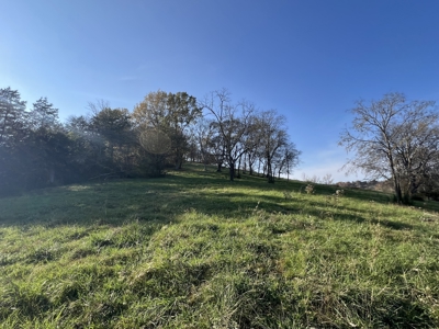 Tennessee Land for Sale  41.13 Acres in Giles County with Fencing - image 36