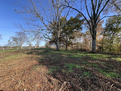 Tennessee Land for Sale  41.13 Acres in Giles County with Fencing - image 14