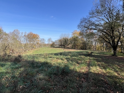 Tennessee Land for Sale  41.13 Acres in Giles County with Fencing - image 11