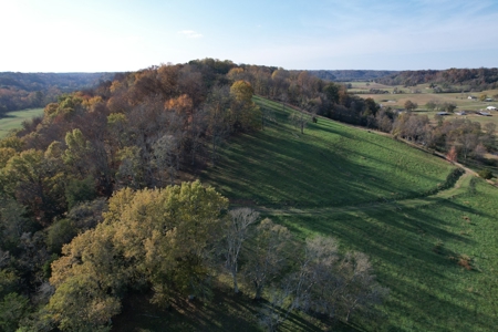 Tennessee Land for Sale  41.13 Acres in Giles County with Fencing - image 28