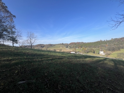 Tennessee Land for Sale  41.13 Acres in Giles County with Fencing - image 7