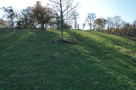 Tennessee Land for Sale  41.13 Acres in Giles County with Fencing - image 32
