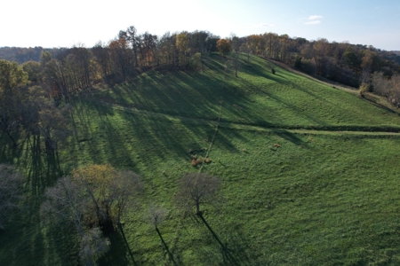 Tennessee Land for Sale  41.13 Acres in Giles County with Fencing - image 25