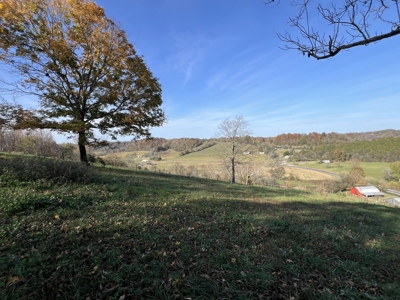 Tennessee Land for Sale  41.13 Acres in Giles County with Fencing - image 16