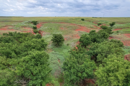Custom Brick Home & 160 Acres for Sale in Washita County, OK - image 39