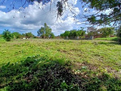 2000 m2 Land for Sale in San José, Panama 5 Minutes from Coronado - image 4