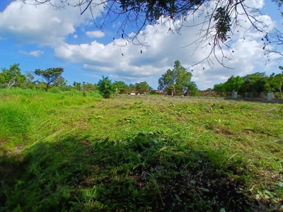 2000 m2 Land for Sale in San José, Panama 5 Minutes from Coronado - image 5