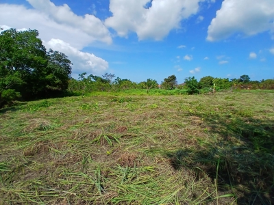 2000 m2 Land for Sale in San José, Panama 5 Minutes from Coronado - image 9